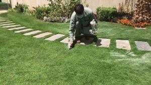 صيانة حدائق بالكويت