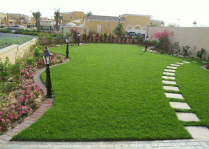 تنسيق حدايق