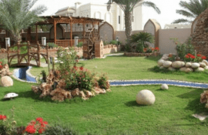 تنسيق حديقة البيت