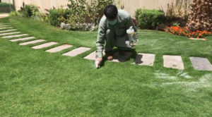 منسق حدائق العاصمة