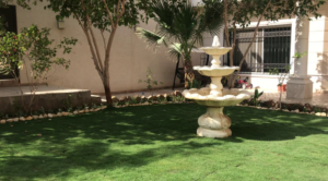 تنسيق حدائق النهضة