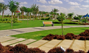 تنسيق حدائق الشامية