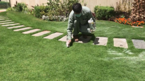شركة تنسيق حدائق فلل الكويت