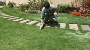 شركة تنسيق حدائق في دسمان