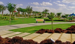 تنسيق حدائق الرقة