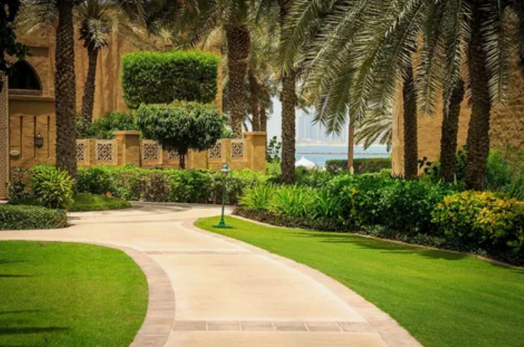 شركة تنسيق حدائق بالعقيلة