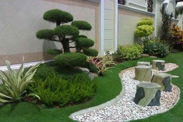 تنسيق حدائق خارجية