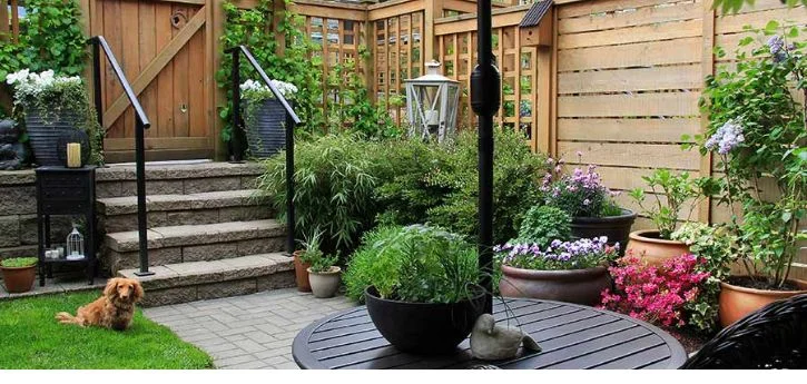 تنسيق حدائق منزلية