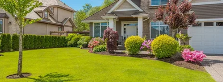 شركات تصميم حدائق الفروانية