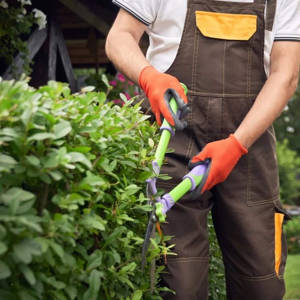 صيانة الحدائق